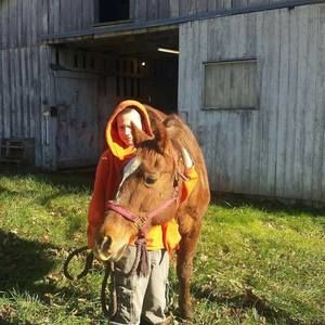 Meet your Posher, Robert